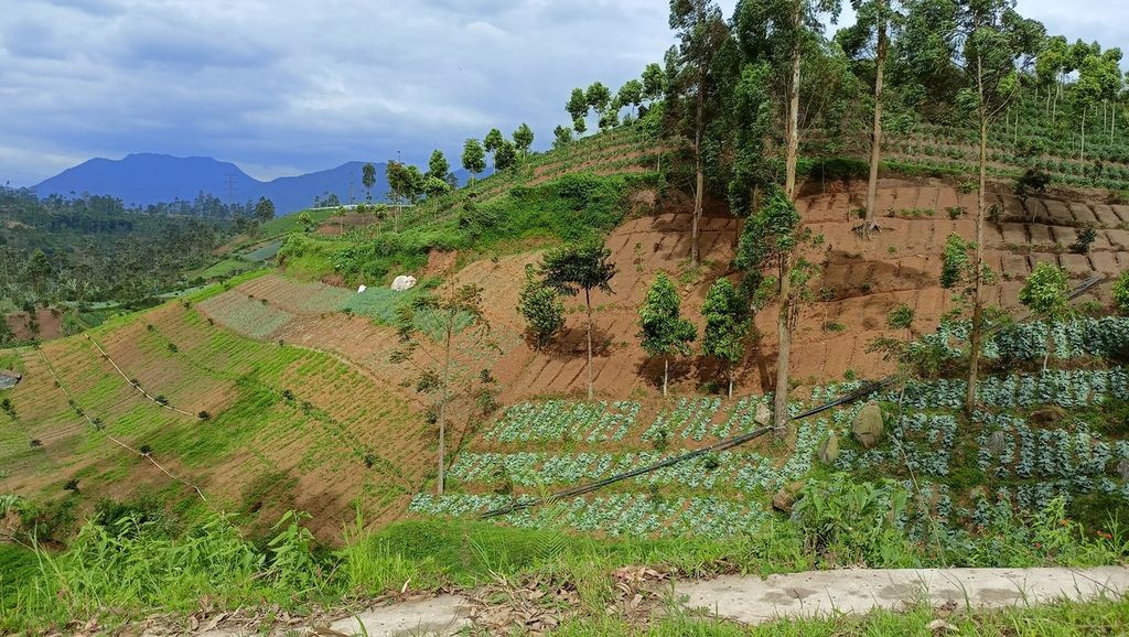 Lahan pertanian di Kecamatan Kertasari, Kabupaten Bandung, Minggu (5/2/2023). Penduduk sekitar memanfaatkan lereng yang curam atau lebih dari 45 persen di banyak perbukitan di kecamatan ini untuk menanam berbagai sayur seperti kentang dan kol.