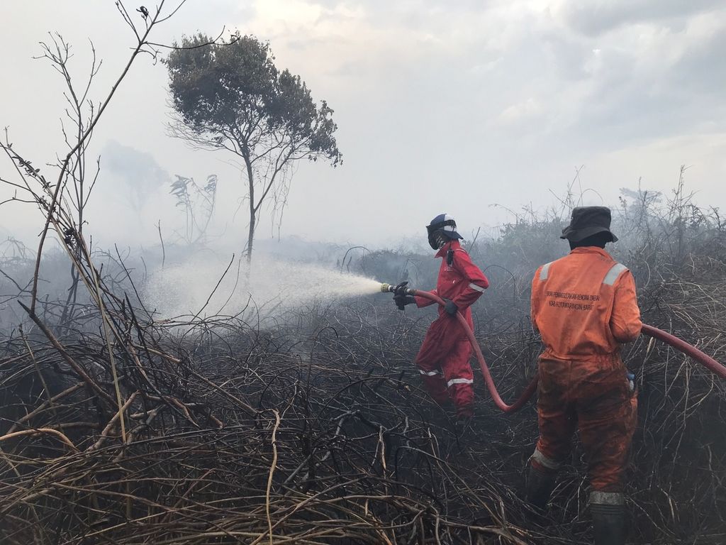 Petugas Badan Penanggulangan Bencana Daerah (BPBD) Kabupaten Kotawaringin Barat memadamkan api yang membakar lahan kosong di Desa Nataiu Baru, Kecamatan Arut Selatan, Kotawaringin Barat, Kalteng, pada Senin (2/1/2023).