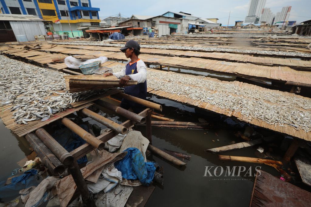 Pekerja menjemur ikan di tengah kepungan banjir rob di kawasan Muara Angke, Pluit, Penjaringan, Jakarta Utara, Senin (16//11/2020).