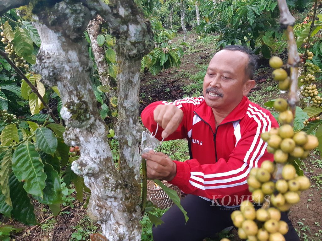 Imam Rosadi (53), petani asal Kecamatan Sekincau, Kabupaten Lampung Barat, Lampung. 