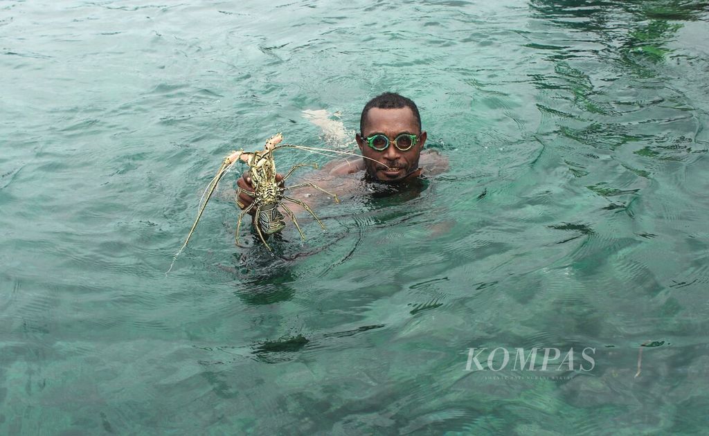 Warga Kampung Kapatcol, Misool Barat, Kabupaten Raja Ampat, Papua Barat Daya, menunjukkan lobster hasil tangkapannya saat pembukaan sasi laut, Senin (25/3/2024). Sasi yang dikelola oleh Kelompok Perempuan Waifuna yang didampingi  Yayasan Konservasi Alam Nusantara (YKAN) tersebut meliputi kawasan perairan seluas 213 hektar.