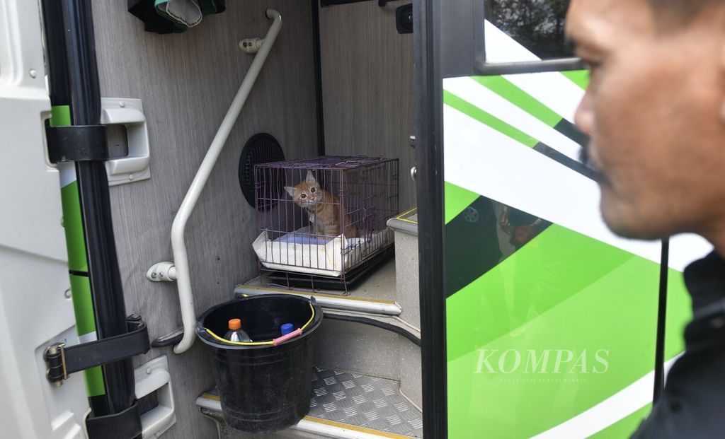 Kandang berisi kucing anggora milik salah satu penumpang yang akan dibawa dalam perjalanan bus AKAP tujuan Jember, Jawa Timur, diletakan di tangga dekat pintu keluar bus, di Terminal Bus Poris Plawad, Kota Tangerang, Banten, Minggu (9/4/2023). 