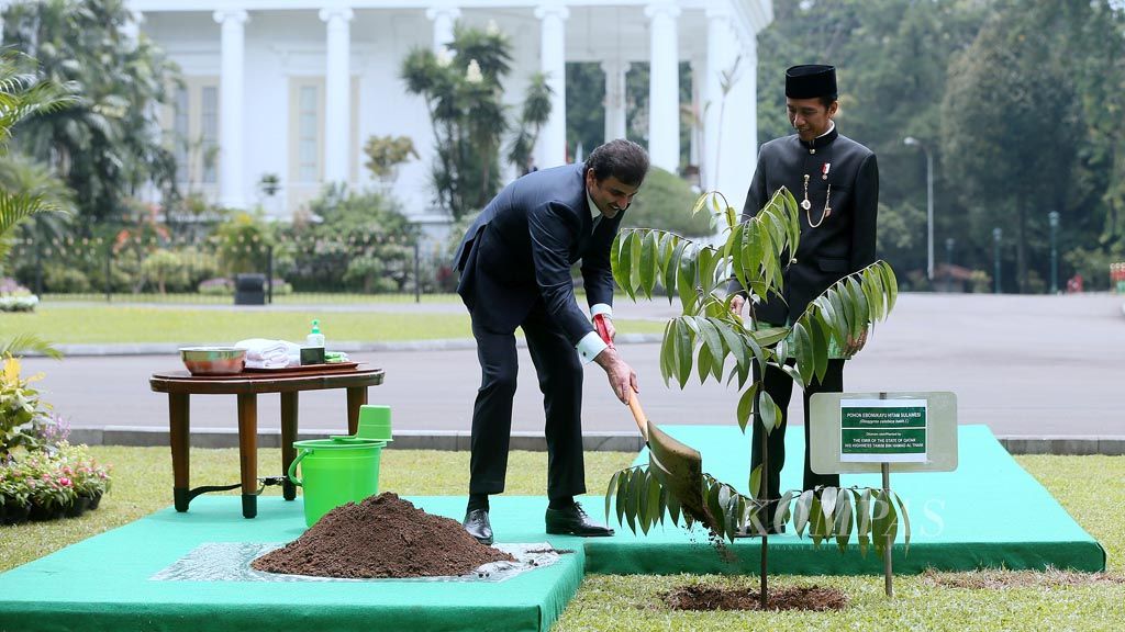 Presiden Joko Widodo (kanan) memerhatikan Emir Qatar Tamim Bin Hamad Al Thani yang menanam  Pohon Eboni (Diospyros Celebica Bakh.f.) di halaman belakang Istana Bogor, Jawa Barat, Rabu (18/10). Dalam kunjungan kenegaraan tersebut pemerintah Indonesia dan Qatar sepakat meningkatkan kerjasama di bidang infrastruktur dan pariwisata. 