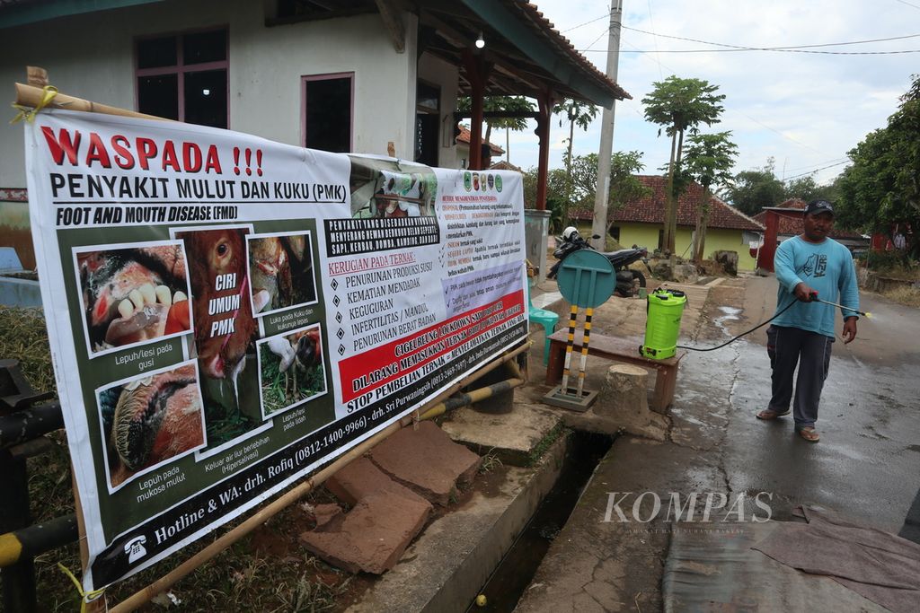 Warga menyemprotkan cairan disinfektan di sekitar posko penanganan penyakit mulut dan kuku di Cigugur, Kabupaten Kuningan, Jawa Barat, Kamis (2/6/2022). 