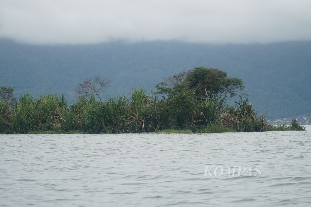 Pulau terapung seluas lebih dari 1 hektar yang hanyut di Danau Kerinci sampai di perairan Desa Seleman, Kecamatan Danau Kerinci, Kabupaten Kerinci, Jambi, Jumat (19/1/2024). 