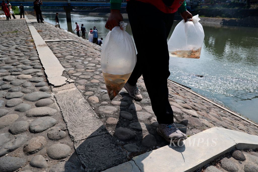 Ilustrasi. Petugas membawa kantong plastik yang berisi benih ikan nila untuk ditebarkan di aliran Sungai Banjir Kanal Barat, Simongan, Kota Semarang, Jawa Tengah, Selasa (9/8/2022).