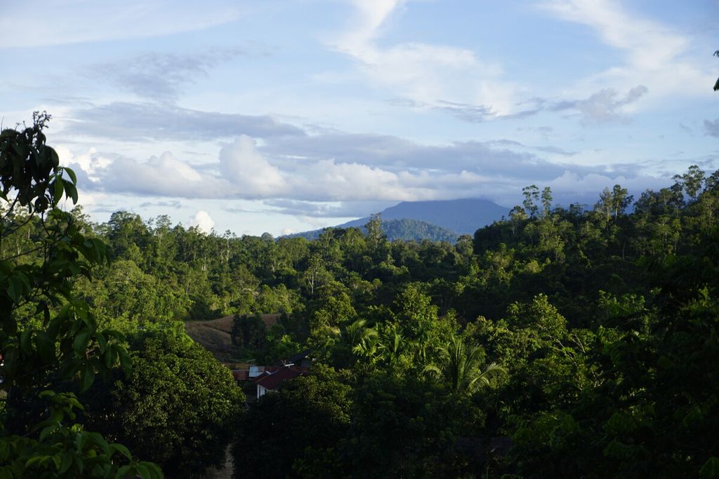 Atap rumah warga terlihat dari atas bukit di antara rapatnya hutan di Desa Liu Mulang dan Desa Long Tuyoq, Kecamatan Long Pahangai, Mahakam Ulu, Kalimantan Timur, Kamis (12/12/2019).