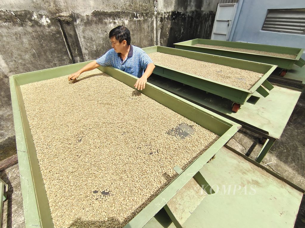 Pemilik merek dagang Kopi Benua, Jono Darma Putra, menunjukkan biji kopi arabika asal Semendo, Kabupaten Muara Enim, Sumatera Selatan, yang ada di pabrik Kopi Benua, Palembang, Selasa (11/6/2024). 