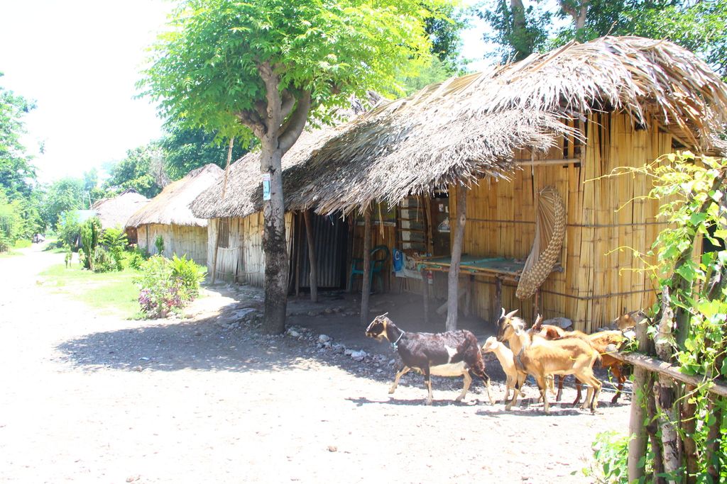 Kamp pengungsian di Desa Tuapukan, Kecamatan Kupang Timur, Kabupaten Kupang, Nusa Tenggara Timur, pada Sabtu (15/2/2020). Warga eks Timor Timur pro-integrasi menempati kamp itu sejak 4 September 1999. Lokasi itu berada sekitar 30 kilometer dari Kota Kupang.