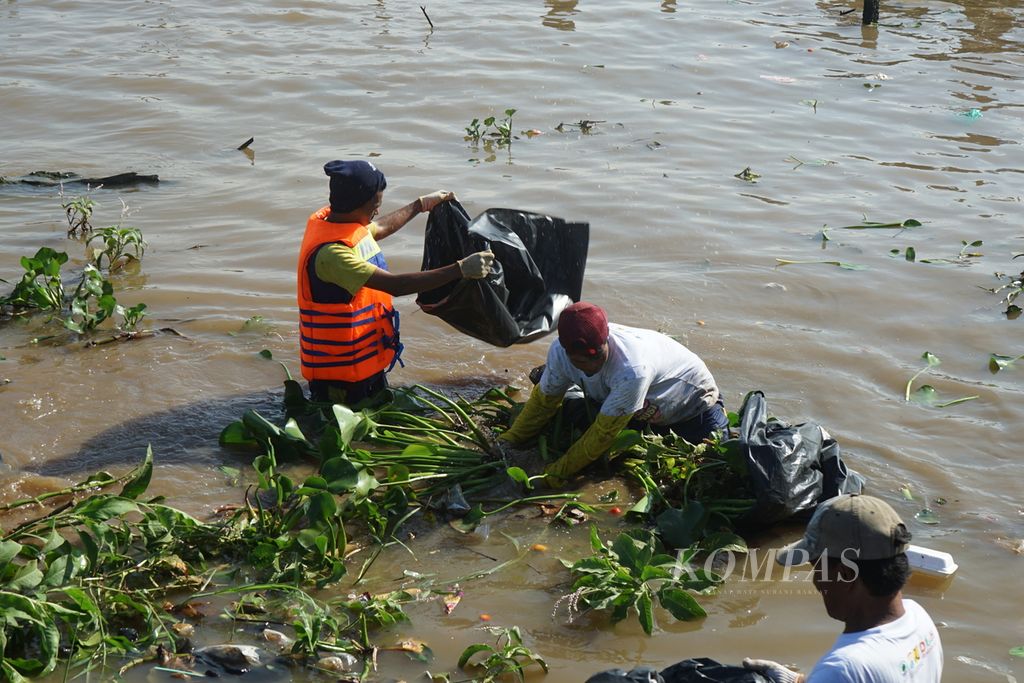 Beberapa petugas sedang membersihkan tepian Sungai Musi dari sampah dan tanaman eceng gondok, Sabtu (10/6/2023). Berdasarkan kajian dari Pemerintah Kota Palembang, potensi sampah dari sungai di Kota Palembang mencapai 90 ton yang didominasi limbah rumah tangga.