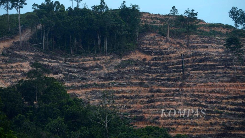 Pembukaan lahan hutan untuk dijadikan perkebunan kelapa sawit di Kabupaten Kutai Kartanegara, Kalimantan Timur, Oktober 2013. 
