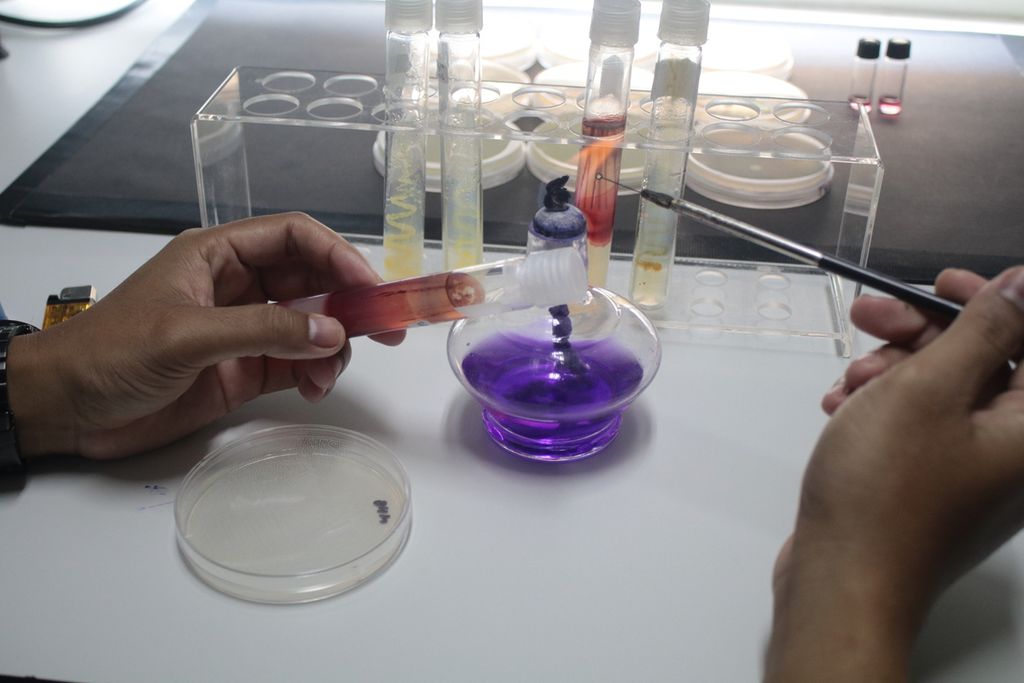 Peneliti dari Ma Chung Research Centre for Photosynthetic Pigments (MRCPP) Universitas Ma Chung, Edi Setiyono, menunjukkan antibiotik alami temuannya pada Senin (3/2/2020) di Laboratorium Mikrobiologi, Universitas Ma Chung. Antibiotik alami hasil temuan tersebut diyakini lebih aman daripada antibiotik sintetis yang selama ini digunakan. Bakteri berpigmen kuning hingga merah tersebut cocok digunakan untuk industri farmasi, pewarna kain, dan solar sel. 