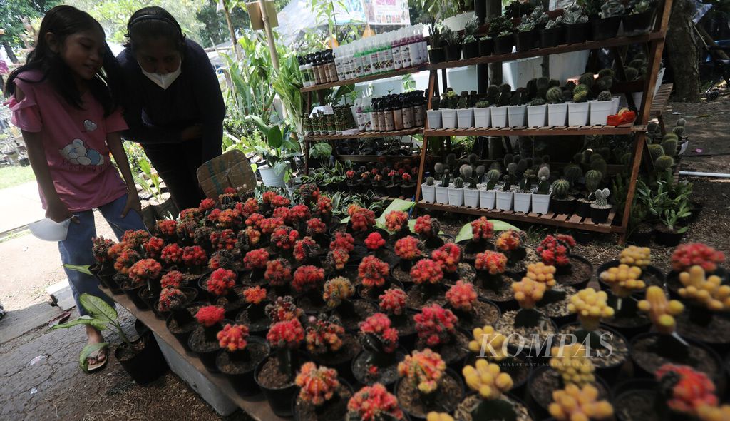 Pengunjung berburu tanaman di stan penjualan dalam pameran Keanekaragaman Hayati Nusantara Expo di Lapangan Banteng, Jakarta Pusat, Sabtu (1/10/2022). 