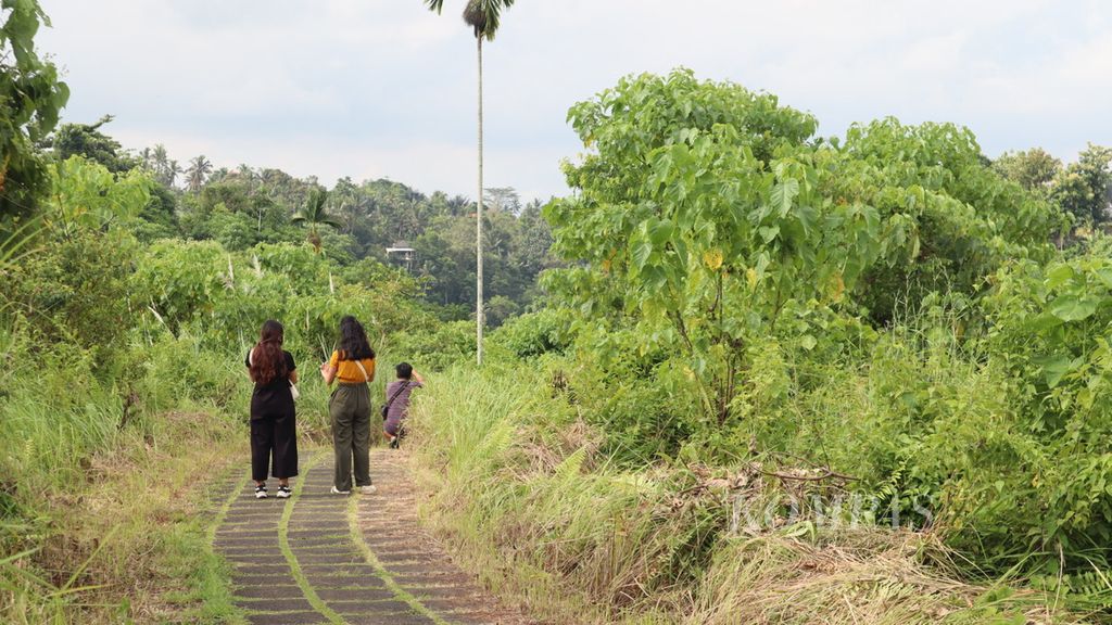 Wisatawan berjalan kaki di daerah Campuhan Ridge Walk di Ubud, Gianyar, Bali, Rabu (23/3/2022) sore. 