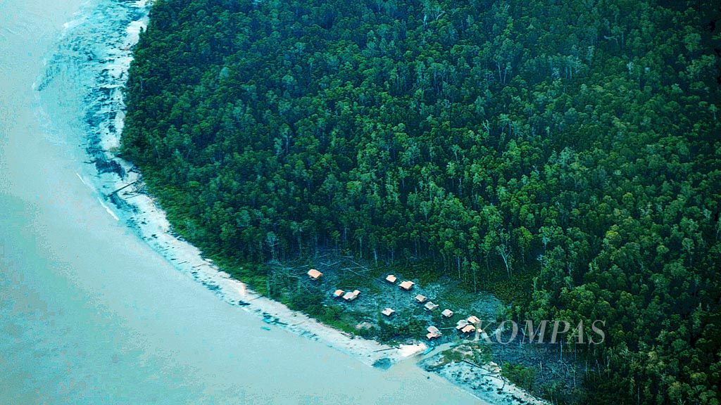 Warga membangun bivak di sekitar hamparan hutan dengan beragam jenis  pohon di pesisir selatan Papua, Kabupaten Asmat,  Jumat (2/2). Bagi masyarakat tradisional seperti Asmat, hutan menjadi gantungan dalam memenuhi kebutuhan hidup sehari-hari.