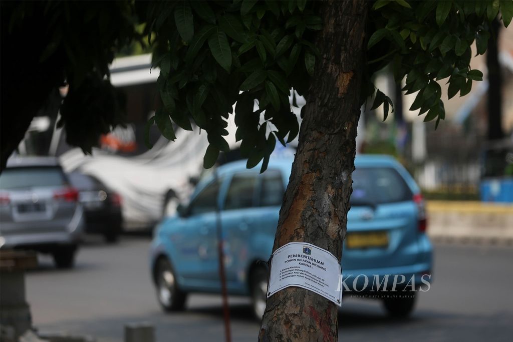  Dinas Kehutanan Pemprov DKI Jakarta memasang pengumuman perihal alasan penebangan pohon peneduh yang berada di trotoar Jalan Kramat Raya, Jakarta Pusat, Sabtu (9/11/2019). 