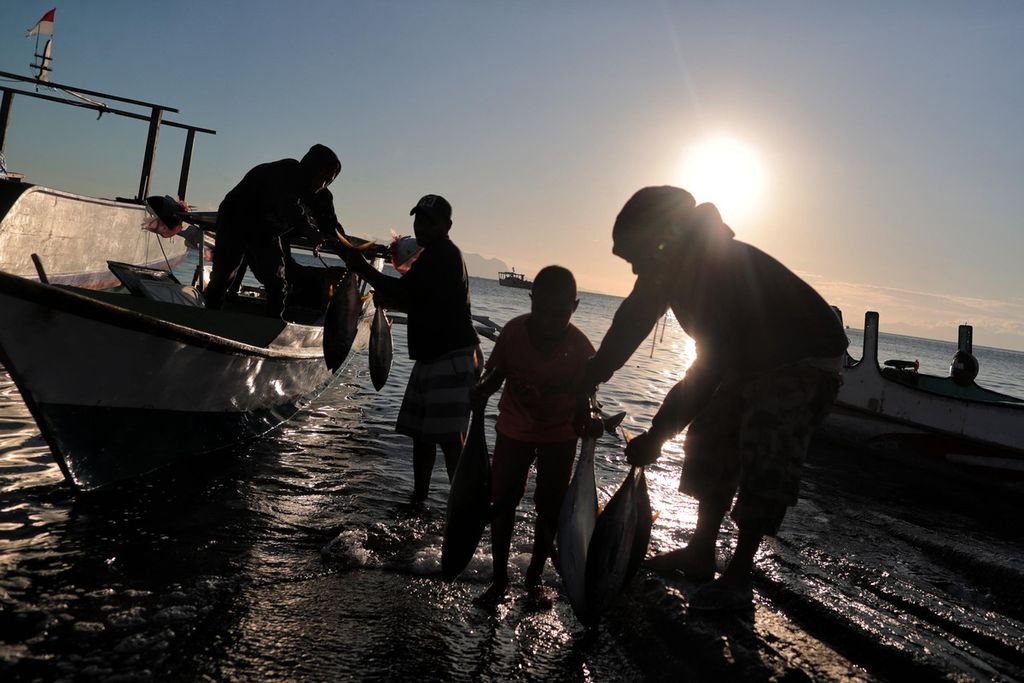 Nelayan menurunkan ikan tuna hasil pancingannya di TPI Maumere, Sikka, Nusa Tenggara Timur, Kamis (8/6/2023). 