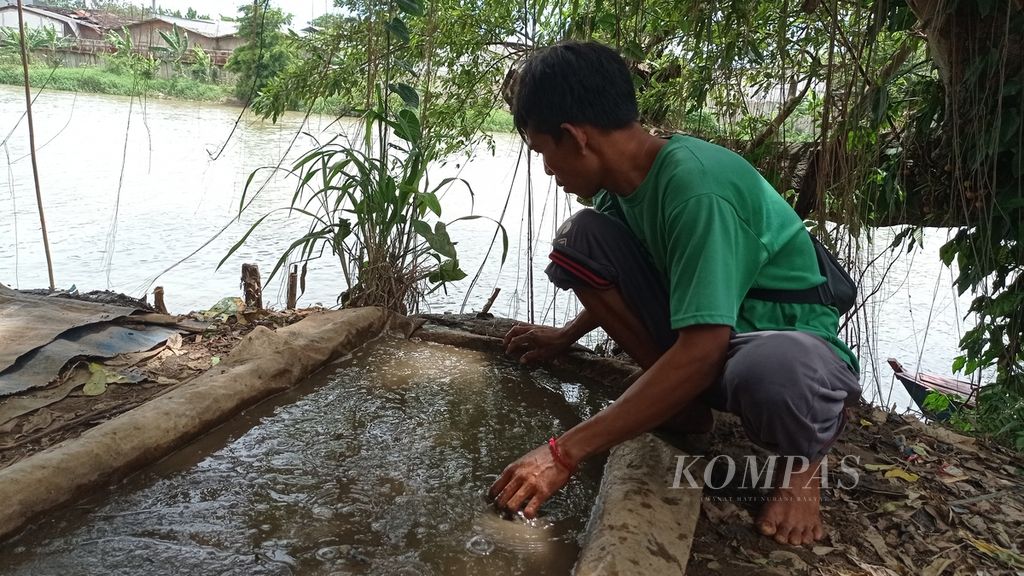 Warga Kampung Cacing di Kota Tangerang, Banten memeriksa dedaunan dan sampah dari lumpur berisi cacing sutra di amparan, Minggu (20/11/2022).