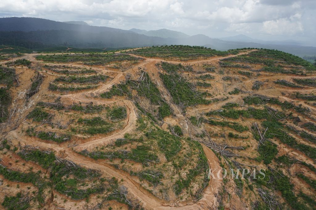 Kawasan perkebunan di Kecamatan Batang Kawa, Kabupaten Lamandau, Kalimantan Tengah pada Rabu (9/9/2020). Kawasan perkebunan itu diklaim memasuki wilayah adat Komunitas Adat Laman Kinipan di Desa Kinipan.