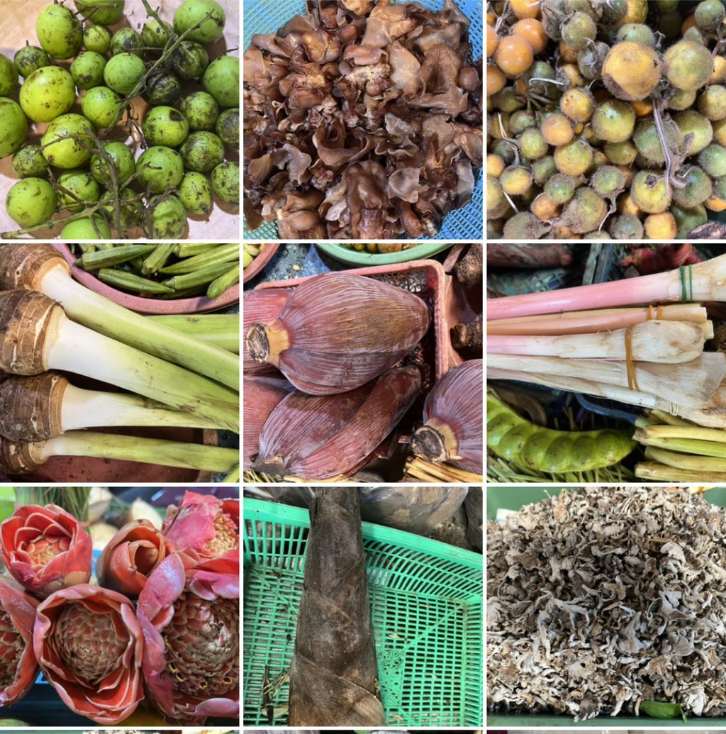 Aneka jenis sayuran dan jamur yang biasa dikonsumsi masyarakat Dayak Ngaju di Kalimantan Tengah. Keberagaman sumber pangan menjadi pola diet tradisional masyarakat Dayak, tetapi belakangan semakin menurun. 