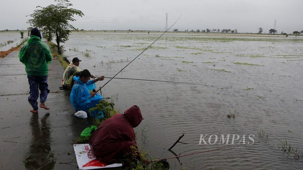 Warga memancing di lahan persawahan yang terendam banjir di Desa Wates, Undaan, Kudus, Jawa Tengah, Kamis (2/3/2023). Sebagian lahan yang terendam banjir tersebut ditanami padi yang sudah memasuki masa panen.