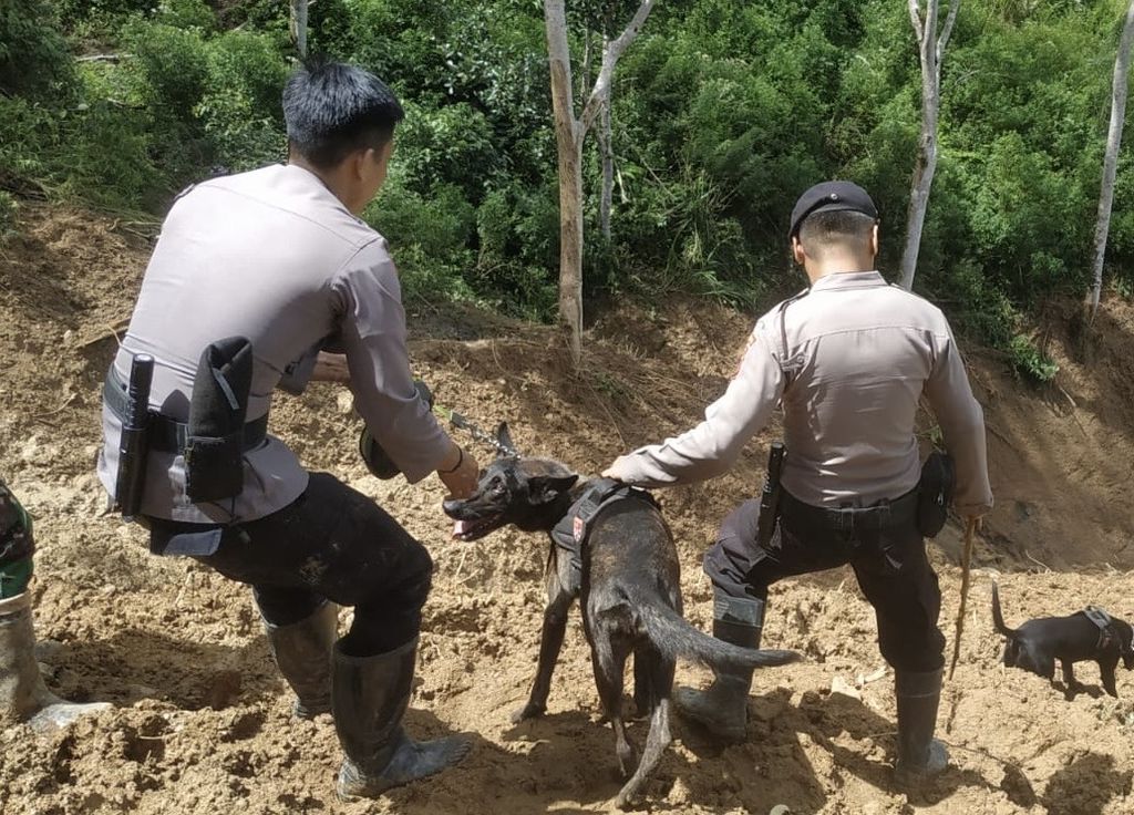 Anjing pelacak K9 Polda Sulawesi Selatan diturunkan untuk membantu pencarian korban longsor di Kecamatan Bastem Utara, Luwu, Sulawesi Selatan, Rabu (28/2/2024).