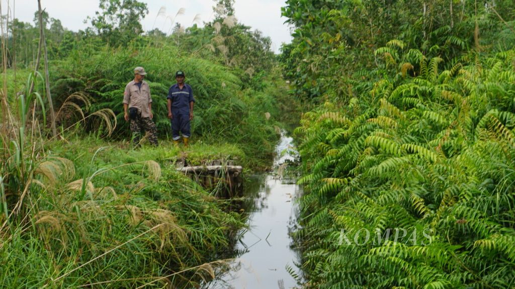 Warga Desa Gohong, Kabupaten Pulang Pisau, Kalimantan Tengah, menunjukkan salah satu hutan desa yang mereka kelola melalui skema perhutanan sosial, pada Sabtu (18/5/2019).