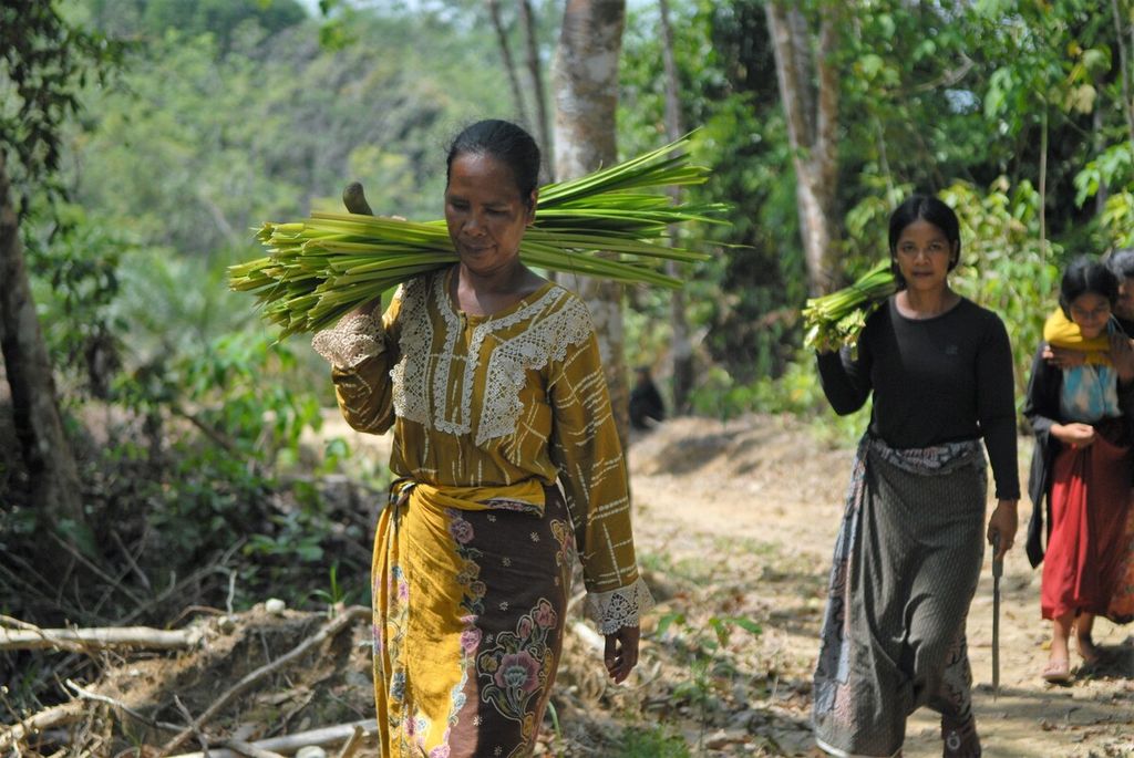 Sejumlah induk rimba membawa hasil rumbia di sekitar permukiman mereka di wilayah Pelepat, Kabupaten Bungo, Jambi, Jumat (3/6/2022). Rumbia diolah menjadi anyaman tikar atau alas tidur. Bahan baku alam kian sulit didapat seiring menyusutnya hutan, di tengah masih kuatnya ikatan komunitas itu pada alam.