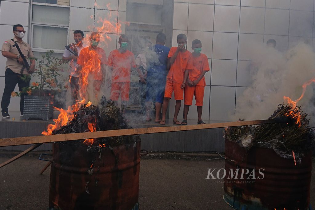 Petugas Badan Narkotika Nasional (BNN) Provinsi Aceh, Kamis (24/3/2022), di Banda Aceh, membakar ganja kering yang disita dari tersangka pengadar narkotika. Peredaran narkotika jenis ganja dan sabu di Provinsi Aceh masih tinggi. Data lain dari Kepolisian Daerah Aceh, pada 2021 jumlah ganja yang disita sebanyak 1 ton dan sabu sebanyak 1,8 ton.