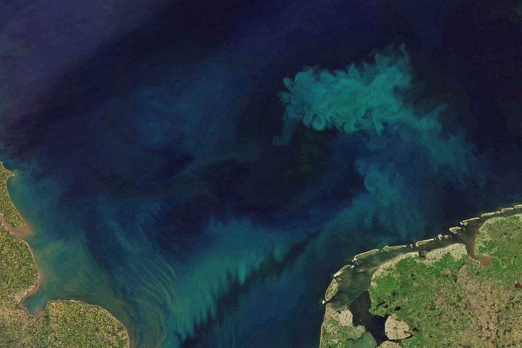 Para ilmuwan telah mendeteksi adanya perubahan warna laut di dunia, diduga karena perubahan iklim. Untuk melacak perubahan warna laut, mereka menganalisis pengukuran warna laut yang diambil oleh Moderate Resolution Imaging Spectroradiometer (Modis) di atas satelit Aqua, yang telah memantau warna laut selama 21 tahun. Kredit: NASA dan Joshua Stevens, menggunakan data Landsat dari US Geological Survey dan data Modis dari LANCE/EOSDIS Rapid Response.