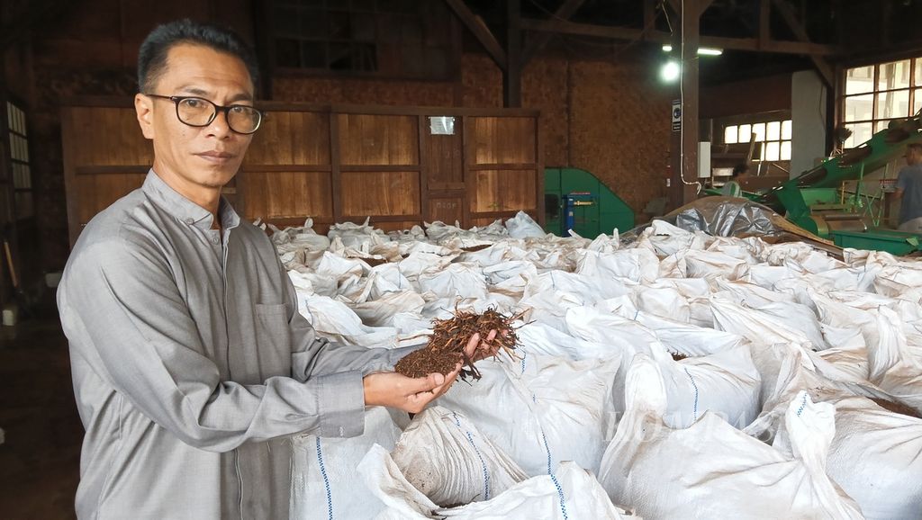 Manajer Perkebunan Teh Maleber PT Tenggara Hendri Adrianto menunjukan jenis teh kering di pabrik PT Tenggara, Maleber, Ciherang, Kecamatan Pacet, Cianjur, Jawa Barat, Selasa (22/8/2023).