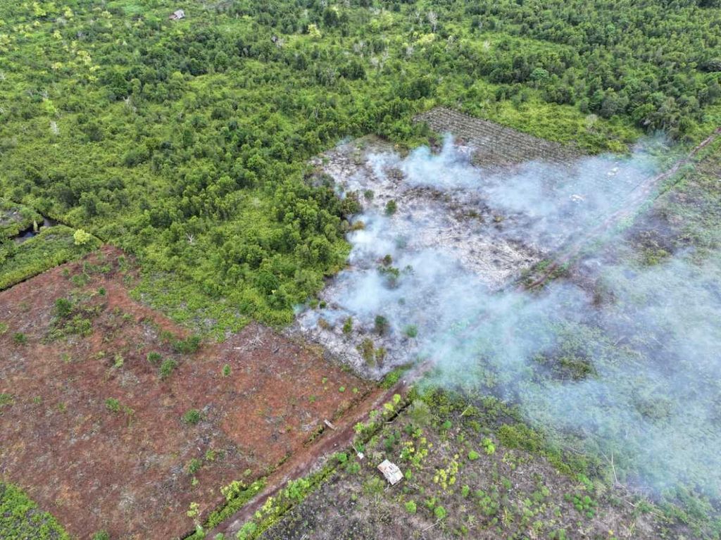 Kebakaran hutan dan lahan di Petik Katimpun, Kota Palangka Raya, Kalimantan Tengah, Senin (5/8/2024). Karhutla di Kota Cantik itu kian meresahkan.