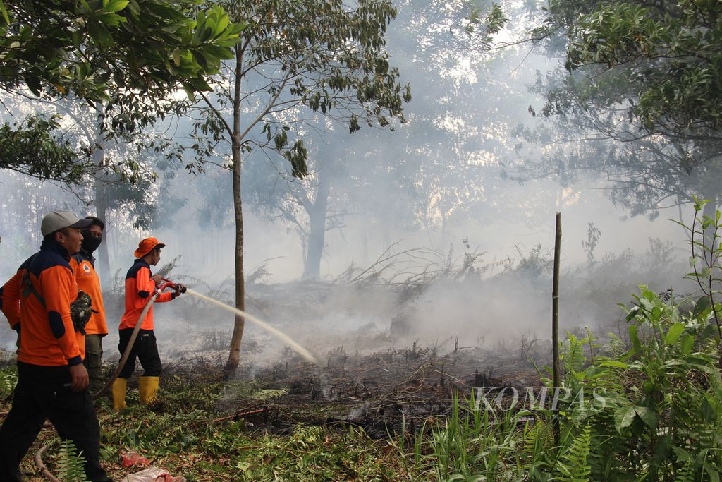 Tim dari Badan Penanggulangan Bencana Daerah Kalimantan Barat memadamkan kebakaran lahan di Kabupaten Kubu Raya, Kalbar, Selasa (15/8/2023).