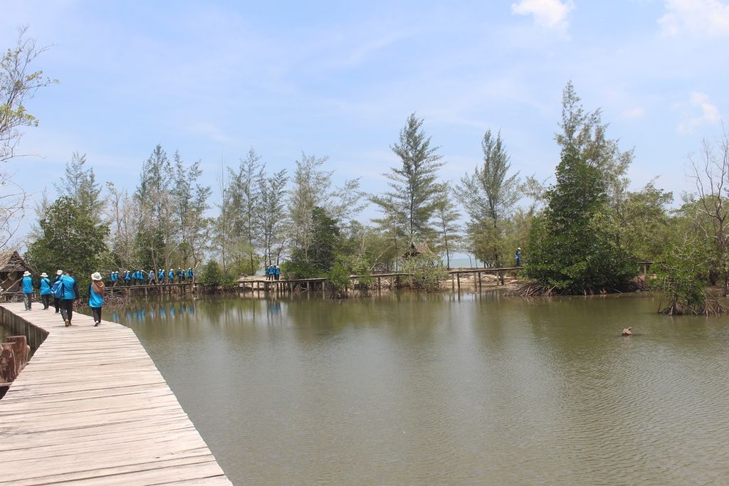 Kawasan obyek wisata Taman Mangrove Belitung di Kota Tanjung Pandan, Kabupaten Belitung, Provinsi Bangka Belitung, Jumat (11/10/2019). Kawasan ini dulunya adalah bekas tambang timah dan kini diubah fungsinya menjadi obyek wisata.