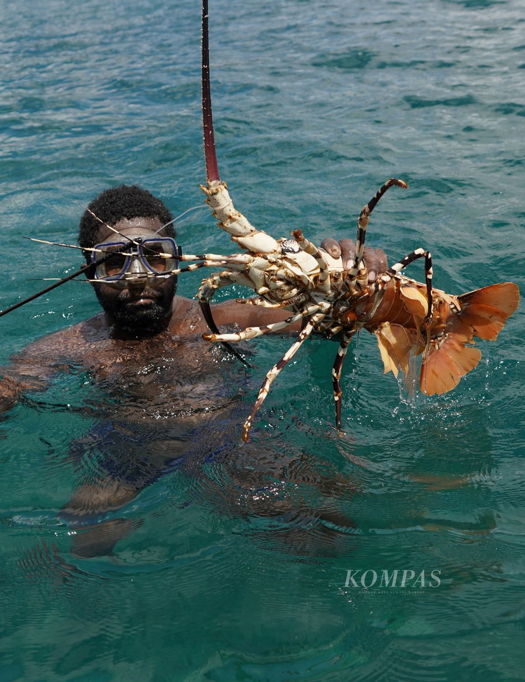 Penyelam lobster menunjukkan hasil tangkapan di perairan Kampung Malaumkarta, Distrik Makbon, Kabupaten Sorong, Papua Barat Daya, Selasa (6/6/2023).