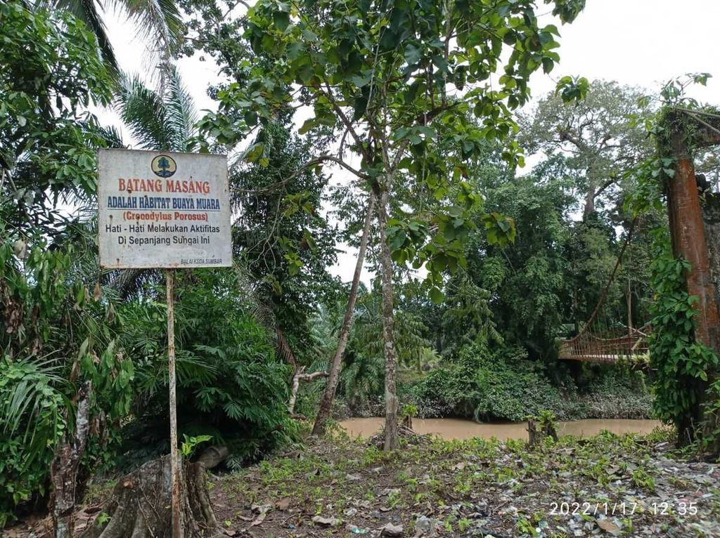 Papan pengumuman habitat buaya muara yang dipasang BKSDA Sumatera Barat di pinggir Batang Masang, Agam, Sumbar, Senin (17/1/2022).