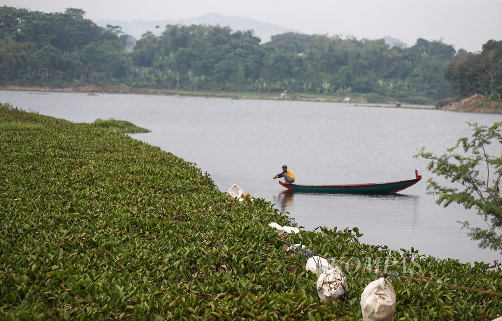 Tanaman eceng gondok memenuhi perairan waduk Saguling, Desa Cihampelas, Kecamatan Cihampelas, Kabupaten Bandung Barat, Jawa Barat, Rabu. (17/7/2024). 