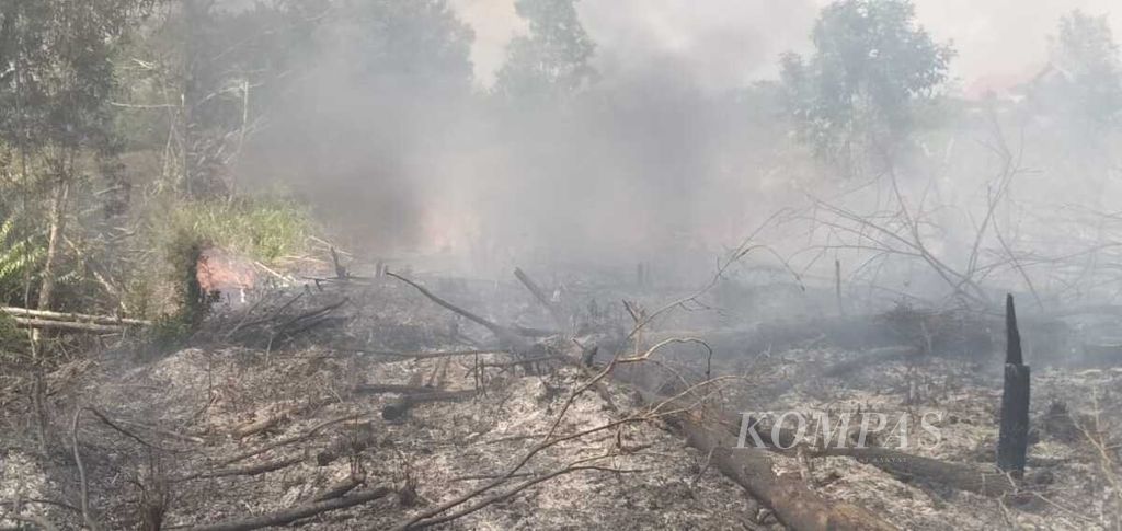 Kawasan gambut yang terbakar di Jalan Yos Sudarso Ujung, Kota Palangkaraya, Kalimantan Tengah, pada 1 Maret 2021.