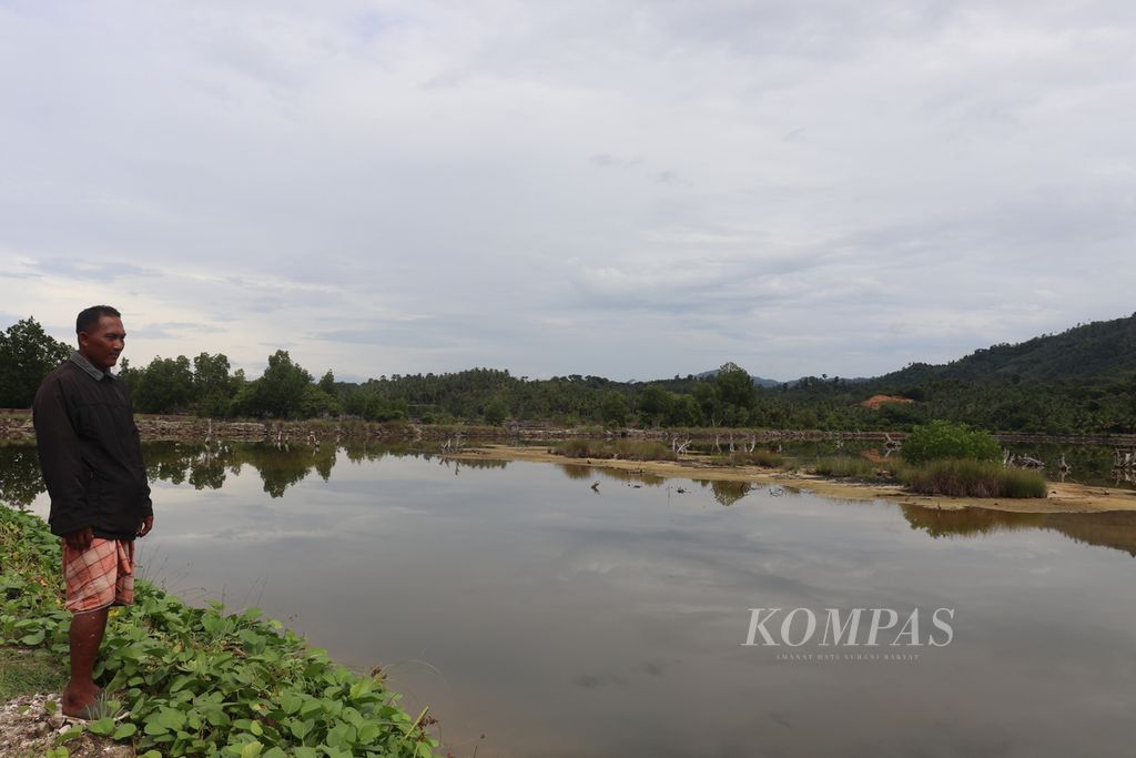 Rusli (35), warga Desa Boloung Olonggata, Kecamatan Moutong, Kabupaten Parigi Moutong, Sulawesi Tengah, Sabtu (14/5/2022), mengamati tambak udangnya yang dikelola secara tradisional. Pembudidaya mengelola tambak secara tradisional dengan menebar pupuk untuk menumbuhkan pakan alami (plankton). Masalahnya, ketersediaan pupuk, terutama pupuk subsidi, terbatas.