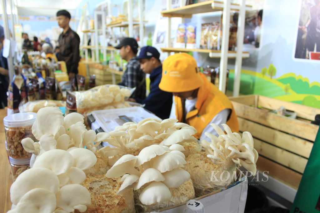 Hasil budidaya jamur dipamerkan dalam Pameran Produk Petani Milenial di Kota Bandung, Jawa Barat, Selasa (30/5/2023). Program petani milenial digelar Pemprov Jabar untuk menjawab masalah ketahanan pangan hingga regenerasi petani.