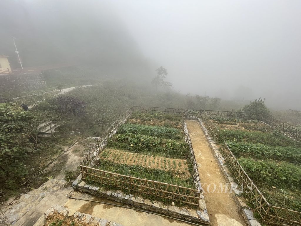 Pemandangan di Desa Huanggualu, Kotapraja Tianbao, Kabupaten Malipo, Prefektur Otonom Wenshan Zhuang dan Miao, Provinsi Yunnan, China. Menjelang musim dingin, kabut selalu menutupi kebun-kebun warga yang terletak di 1.400 meter di atas permukaan air laut, Rabu (16/11/2022).
