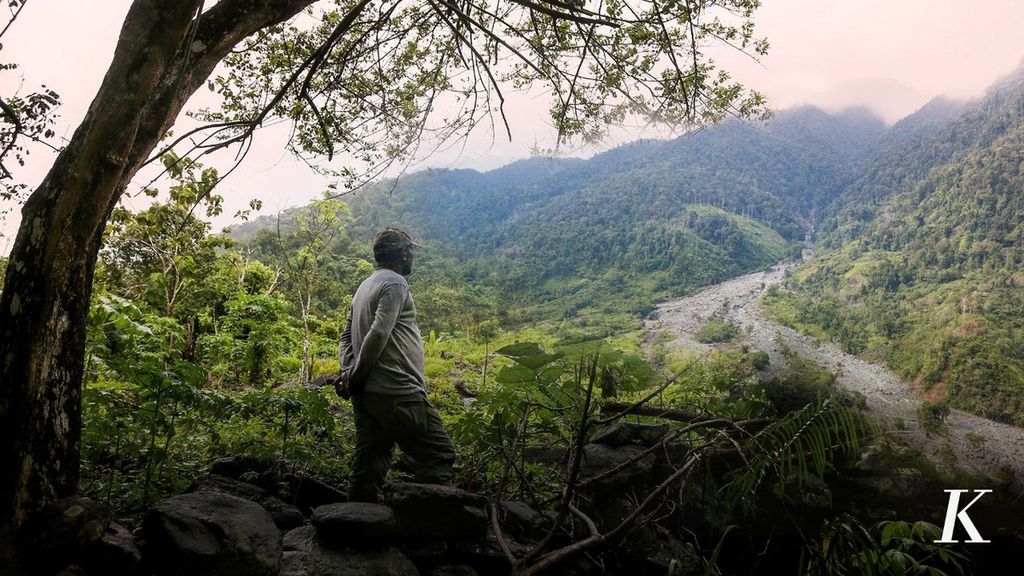 Deforestasi di Kaki Gunung Cycloop Papua