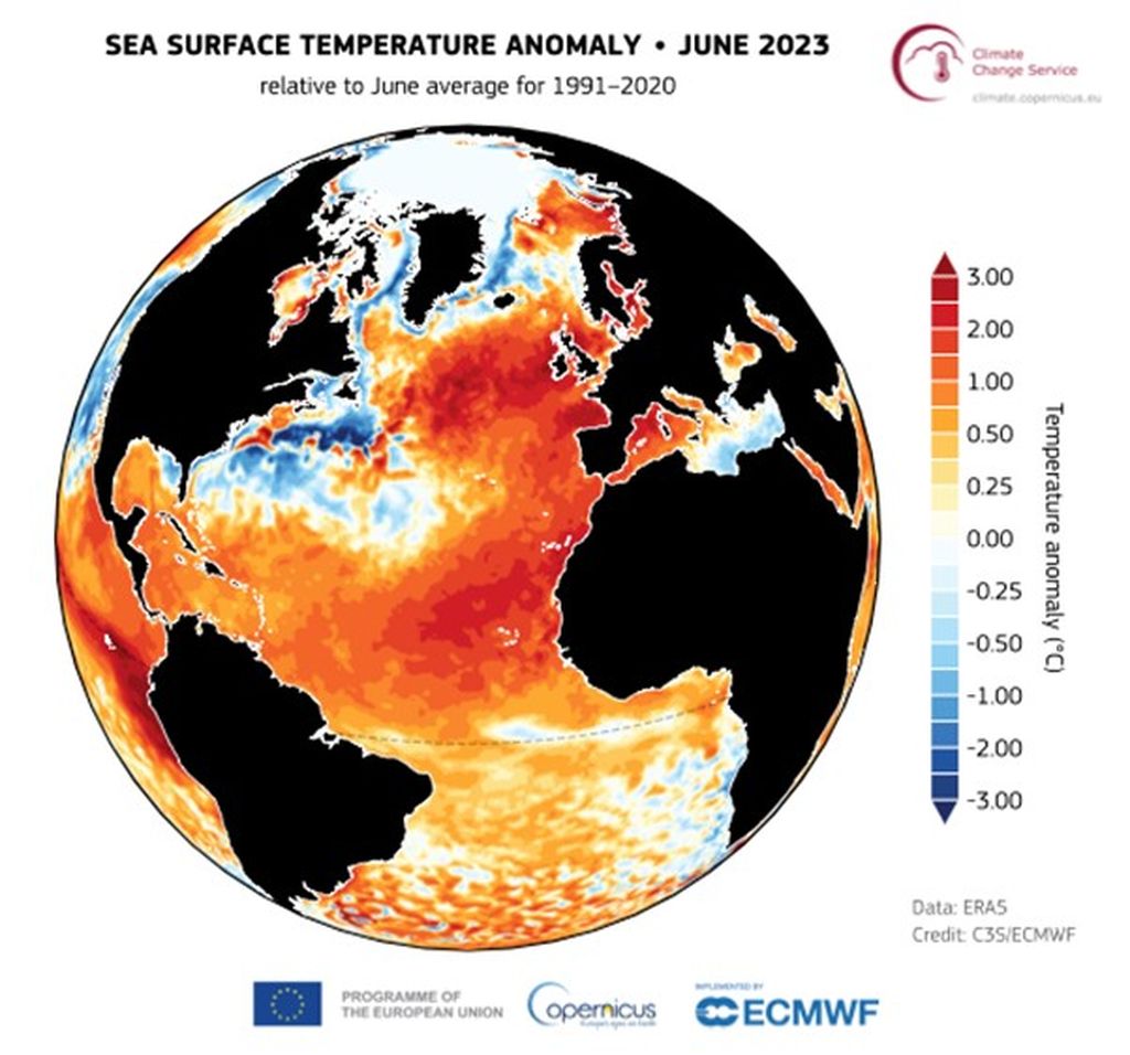 Surface temperature anomalies of the sea in June 2023. Source: Copernicus ECMWF ERA5.