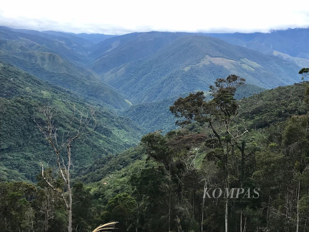Cagar Alam Pegunungan Arfak yang membentang 68.325 hektar merupakan benteng keragaman hayati di Papua. 