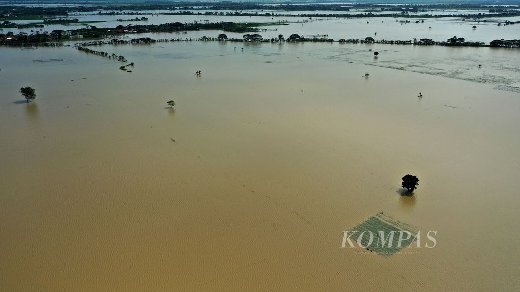 Foto udara areal persawahan yang terendam banjir di Desa Sukamaju, Kecamatan Tambelang, Kabupaten Bekasi, Jawa Barat, Jumat (3/3/2023). 