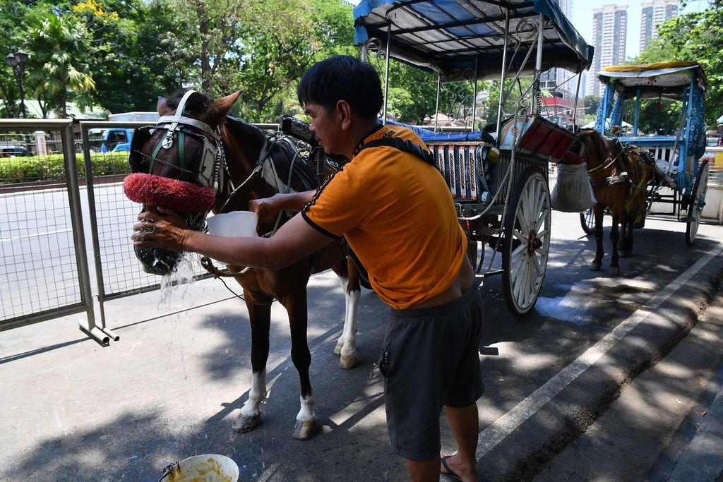 Pengemudi dokar di Manila, Filipina, berusaha menenangkan dan mendinginkan kudanya di tengah panas pada Rabu (24/4/2024).