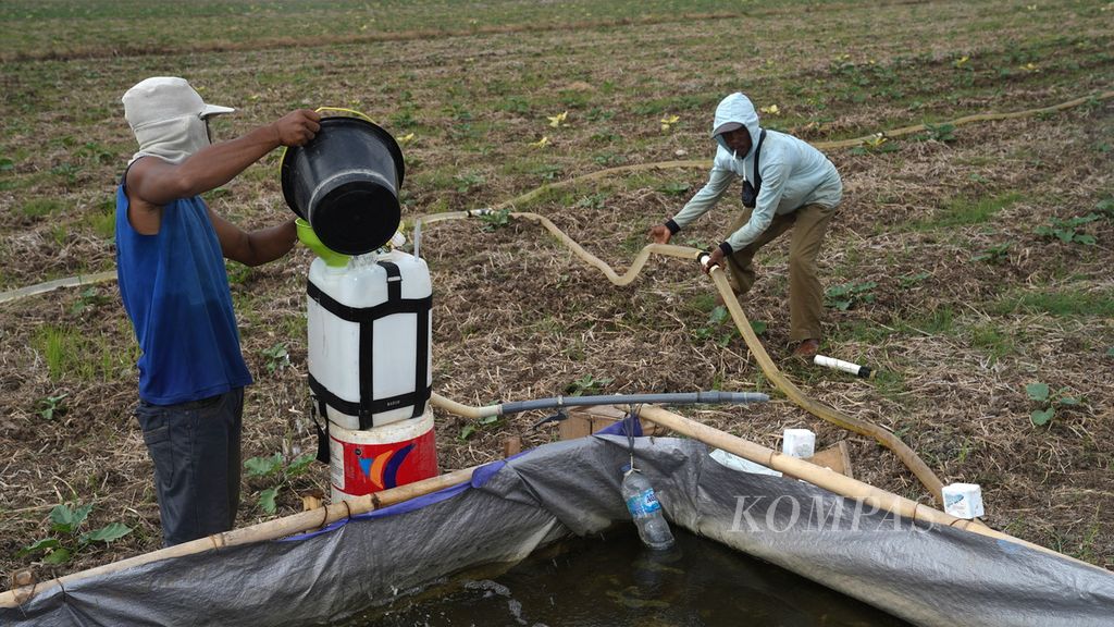 Buruh tani mengambil air dan memasang pipa selang untuk menyirami tanaman palawija di Desa Sukaringin, Kecamatan Sukawangi, Kabupaten Bekasi, Jawa Barat, Senin (24/7/2023). 