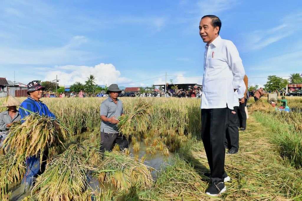 Presiden Joko Widodo meninjau ladang padi di Desa Baji Pamai, Kabupaten Maros, Sulawesi Selatan, pada Kamis (30/3/2023). 