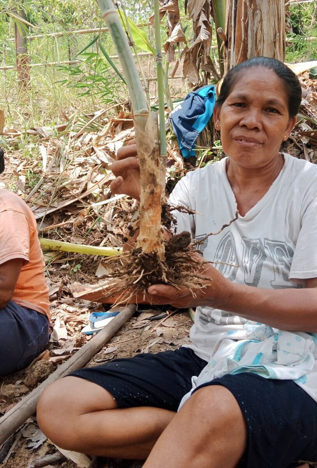Monika Sina (52), warga Desa Rateroru, Kecamatan Detusoko, Kabupaten Ende, Nusa Tenggara Timur, memperlihatkan anakan bambu yang diambil dari tempat pembibitan. Bambu ditanam di hutan sosial, yang sudah ada tanaman lain, di lahan kritis, sumber -sumber air, bantaran sungai, dan lereng bukit rawan longsor di Kabupaten Ende.