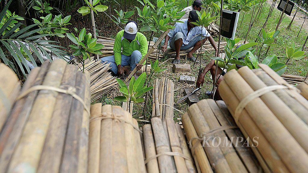 Warga dan anggota Komunitas Mangrove Muara Angke menyiapkan bambu untuk dijadikan ajir bibit mangrove di Muara Angke, Jakarta Utara, Senin (26/3). Bambu-bambu tersebut nantinya digunakan untuk menopang bibit mangrove yang akan ditanam di Teluk Jakarta, yang mulai dibersihkan dari sampah.